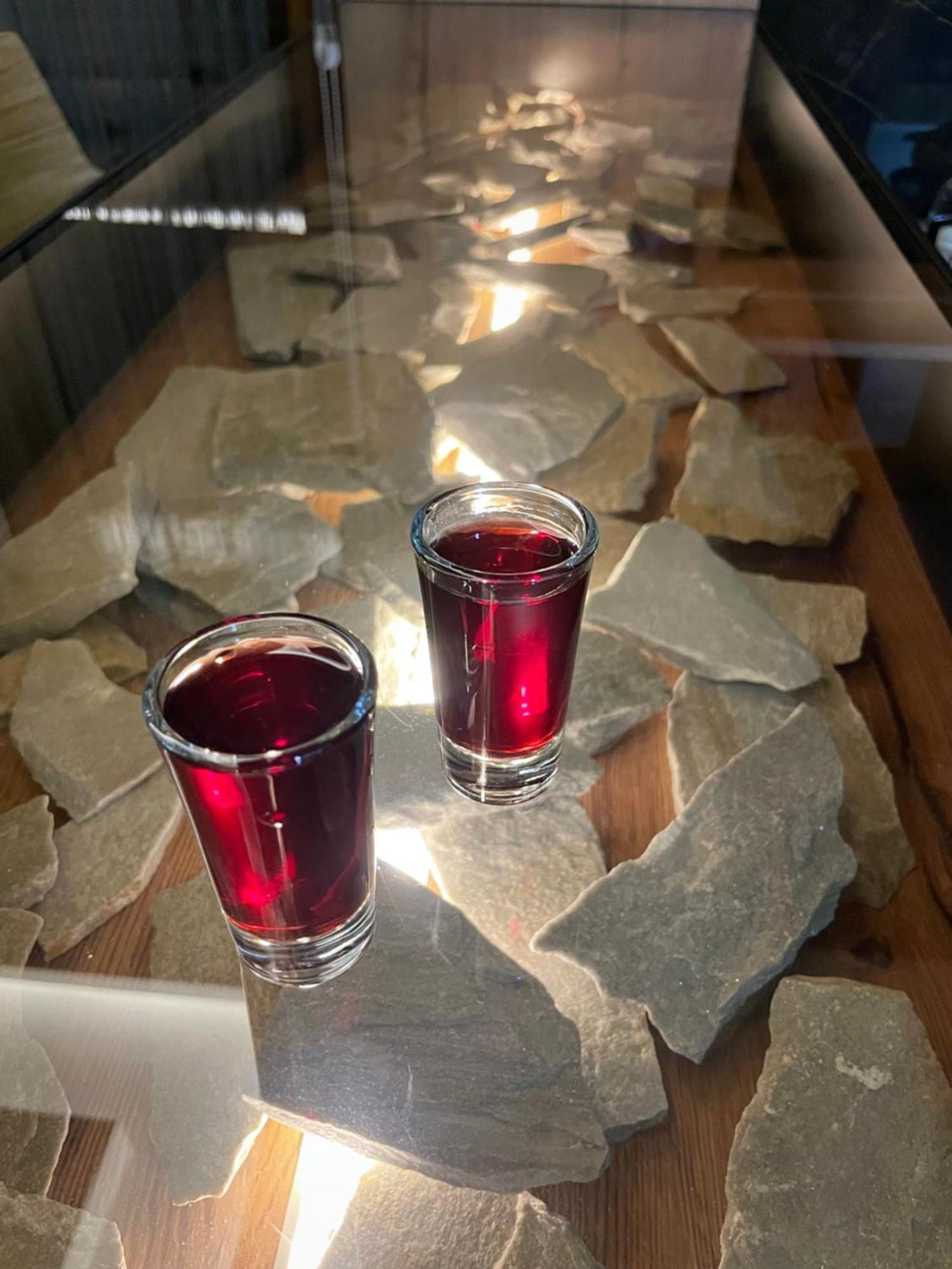 Art Lux&spa Zlatibor